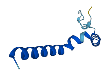 SMIM20 3D structure