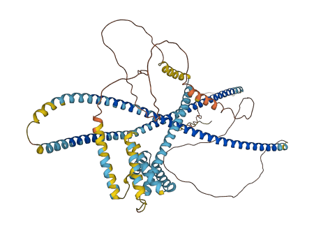 MACO1 3D structure