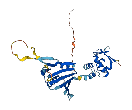 KCNRG 3D structure