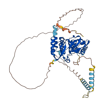 MINDY1 3D structure