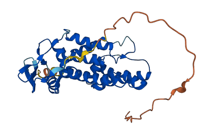ATPAF2 3D structure