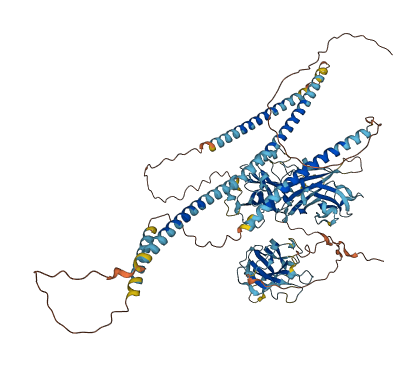 CCDC33 3D structure