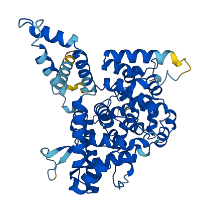 TBC1D19 3D structure