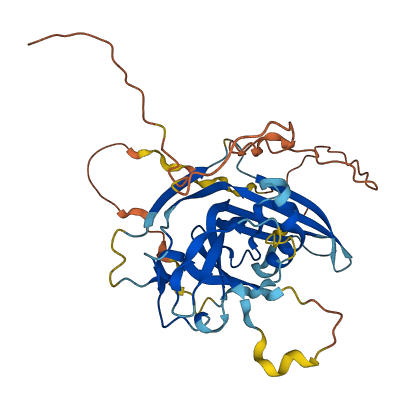 C11orf42 3D structure