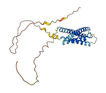 MS4A15 3D structure