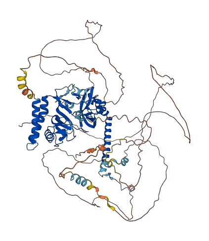 RNF10 3D structure