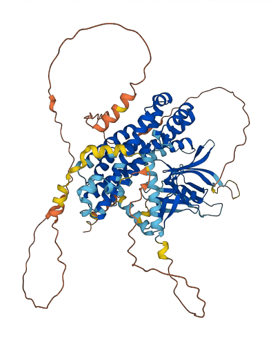 NGEF 3D structure