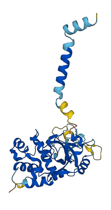 PARP16 3D structure