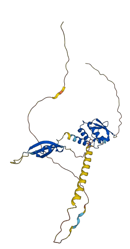 KCTD17 3D structure
