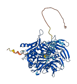 DPP10 3D structure
