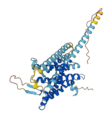 TRAM1L1 3D structure