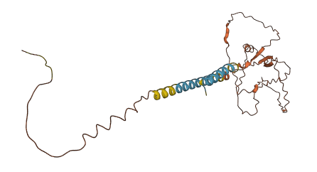 TMEM156 3D structure
