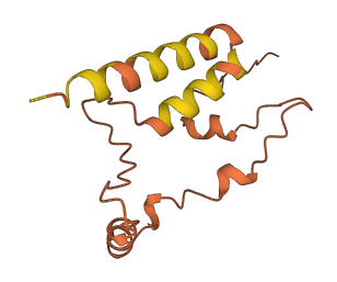 LINC00311 3D structure