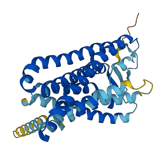 OR2C3 3D structure