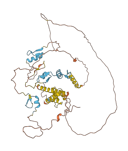 ZBTB2 3D structure
