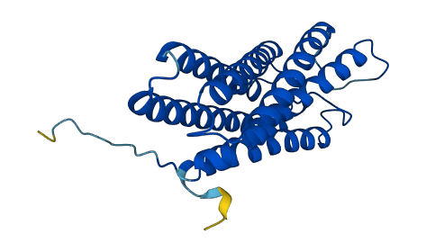 DRAM1 3D structure