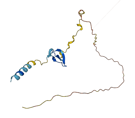 DEFB125 3D structure