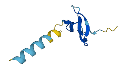 DEFB123 3D structure