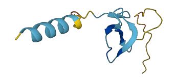 DEFB119 3D structure