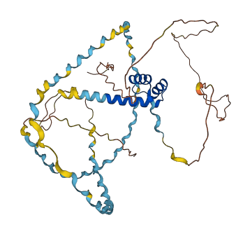 ESX1 3D structure