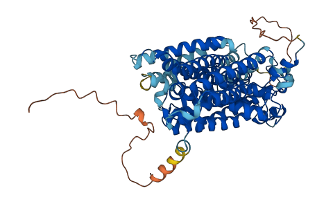SLC5A8 3D structure
