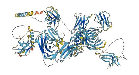 IGSF1 3D structure