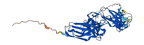LILRA3 3D structure