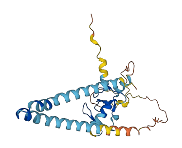 RNF182 3D structure