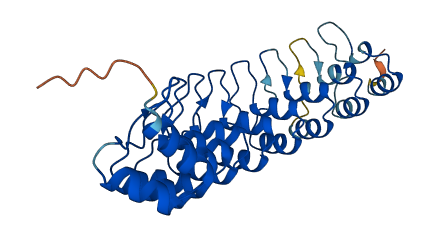 ANKRD29 3D structure