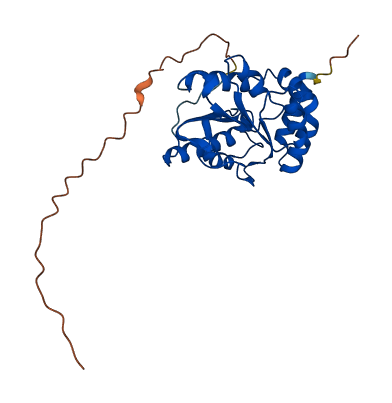 METTL27 3D structure