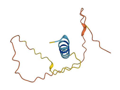 LINC00337 3D structure