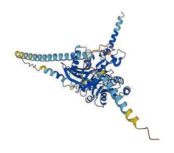 CSGALNACT2 3D structure