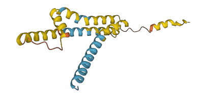 TMEM251 3D structure