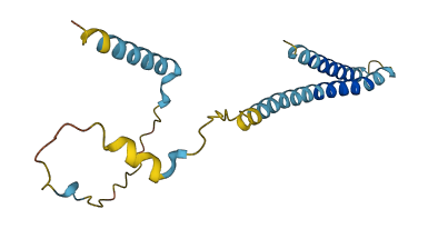 TMEM252 3D structure