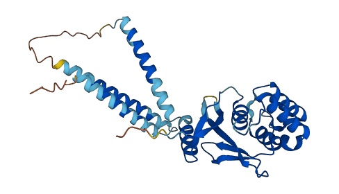 OTUD6B 3D structure