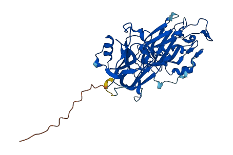 ALLC 3D structure