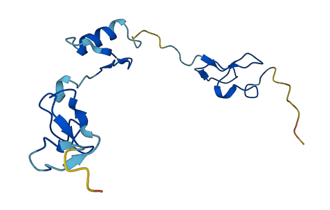 ZFAND2A 3D structure