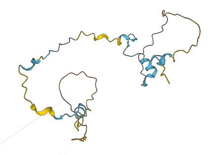 C1orf52 3D structure