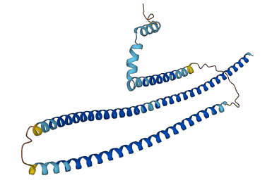 TMCO5A 3D structure