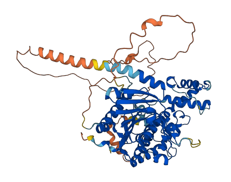 METTL25 3D structure