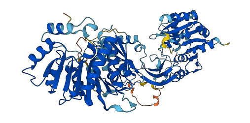 EEF1AKNMT 3D structure