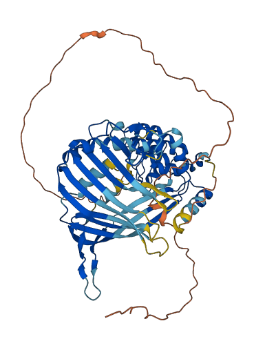 ANKRD13C 3D structure