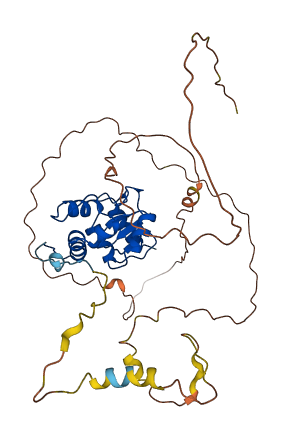 ARFGAP1 3D structure
