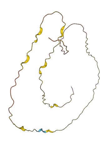 LINC00612 3D structure