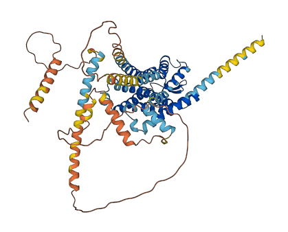GPR161 3D structure