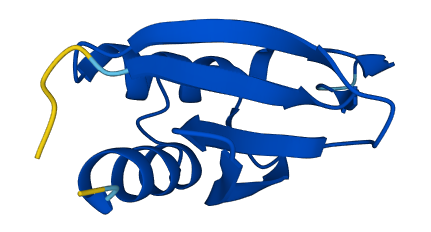 C10orf53 3D structure