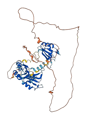 CELF5 3D structure