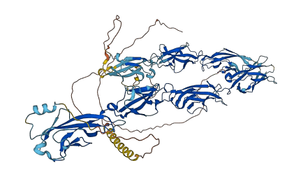 PCDH20 3D structure