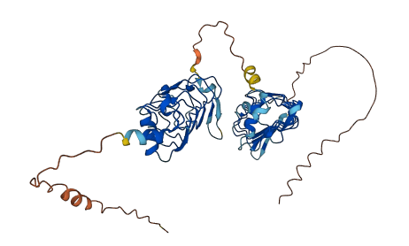 LRRC17 3D structure