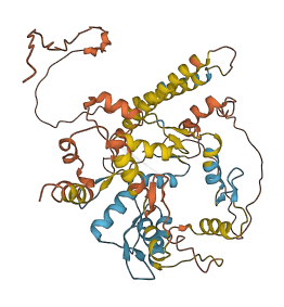 ZNF655 3D structure